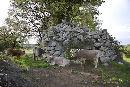 Foto Nuraghe Alinèdu
